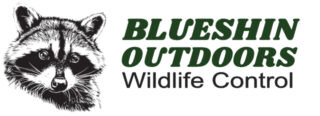 Blueshin Outdoors Wildlife Control